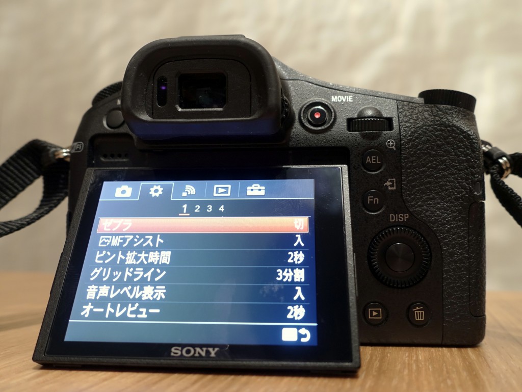 SONY RX10』を購入！大型センサー搭載のカールツァイス製の全域f2.8高