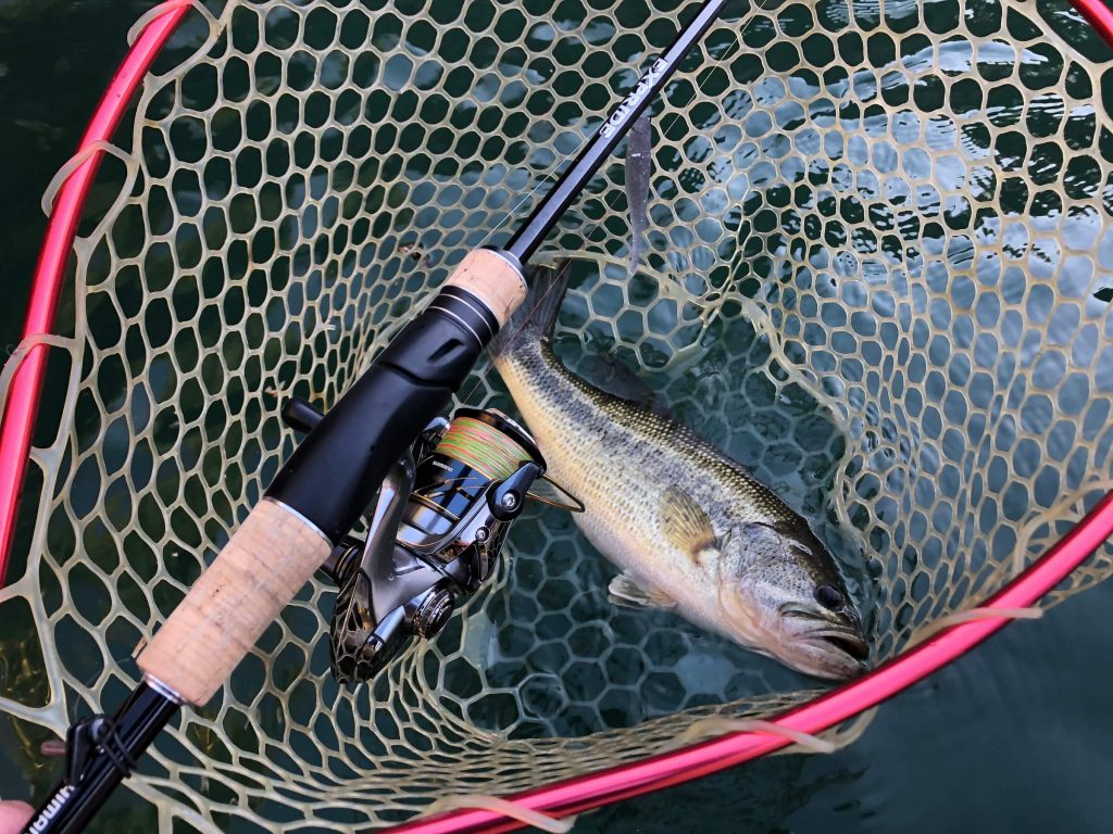 エクスプライド263L-Sインプレ。「ダルくないソリッドティップ」は正義