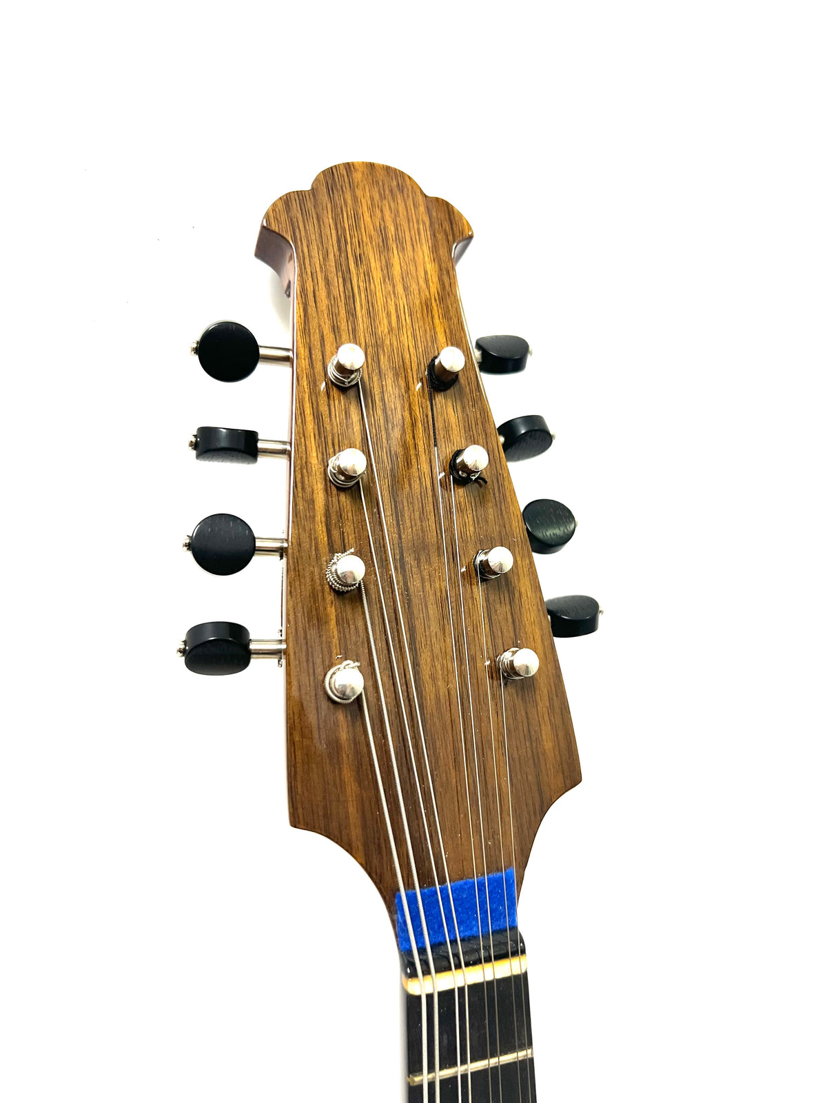 お値下げ中 カラーチェCalace マンドリン クラシコBClassicoB カラー