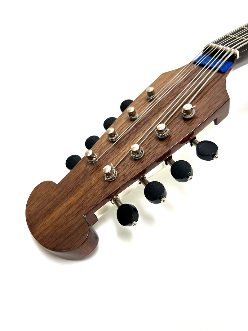 カラーチェマンドラNo.26 | イケガク