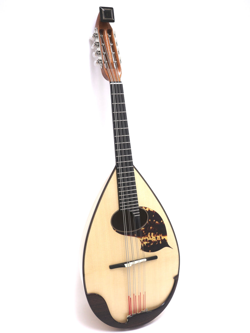 落合マンドラDS-1 | イケガク