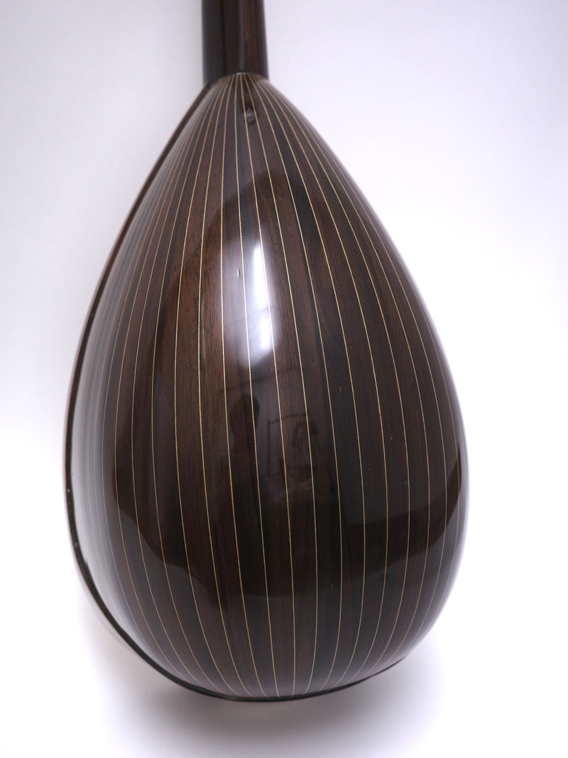 カラーチェマンドラNo.13 | イケガク