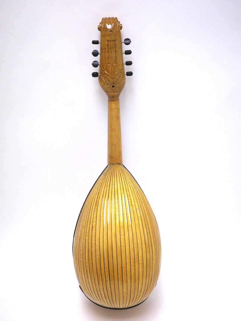 カラーチェマンドリン クラシコA Special | イケガク