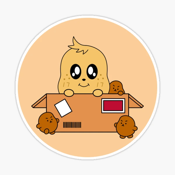 st,medium,507x507-pad,600x600,