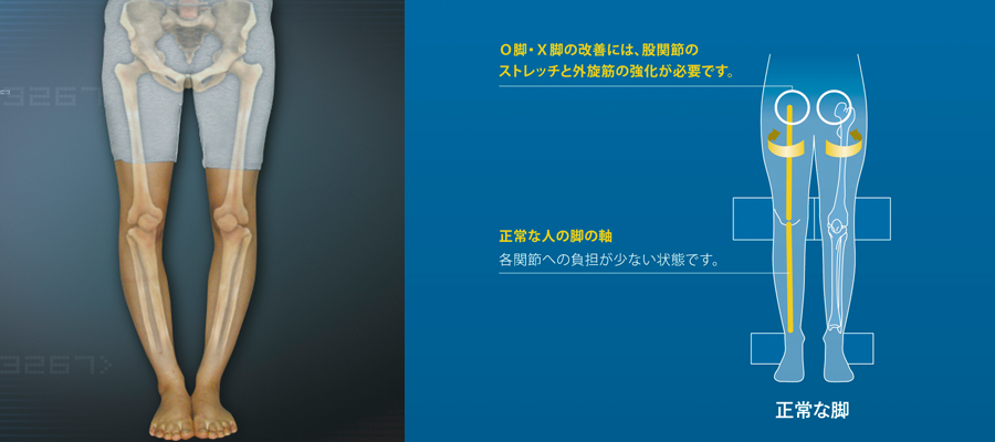 スタイレックス | 福岡市南区井尻の整骨院「和整骨院」井尻院