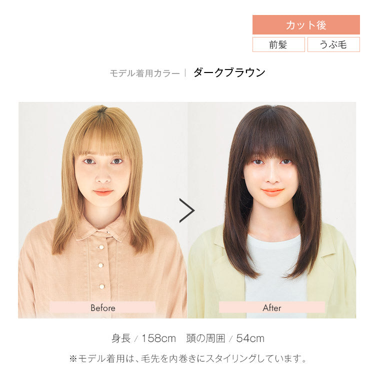 REMY人毛100％シルクトップミディ フルウィッグ ミディアム｜リネ