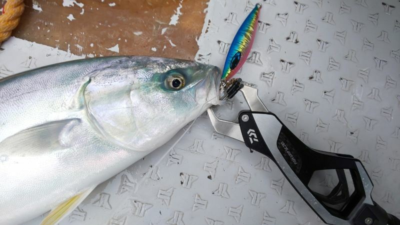 めちゃオススメ！ソルティガFKジグのTG(タングステン)モデル発売