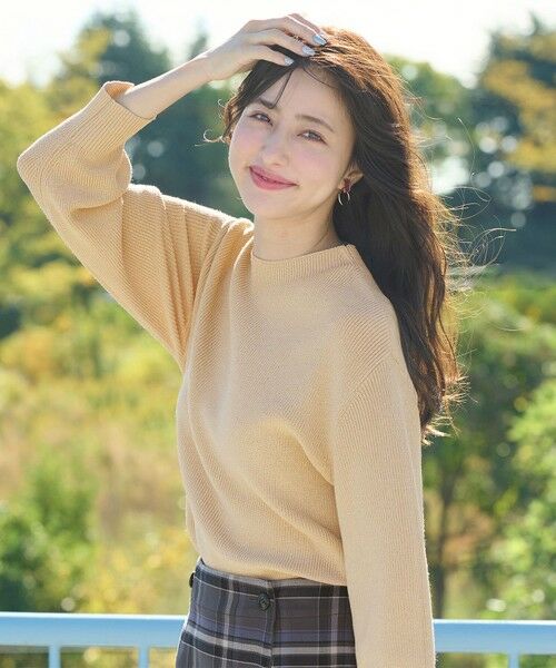 セール】 【洗える】彩色兼美 ニット （ニット・セーター）｜ANY SIS