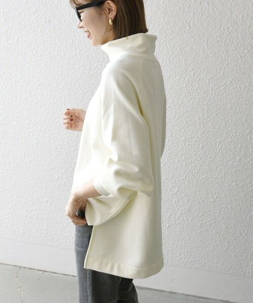 SHIPS any:〈洗濯機可能〉USAコットン 裏起毛 ラグラン ハイネック