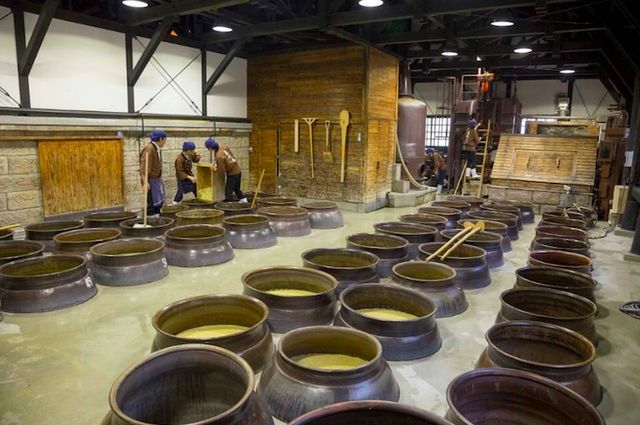 争奪戦必至「超プレミアムな森伊蔵」のお値段にビックリ！ | TABI LABO