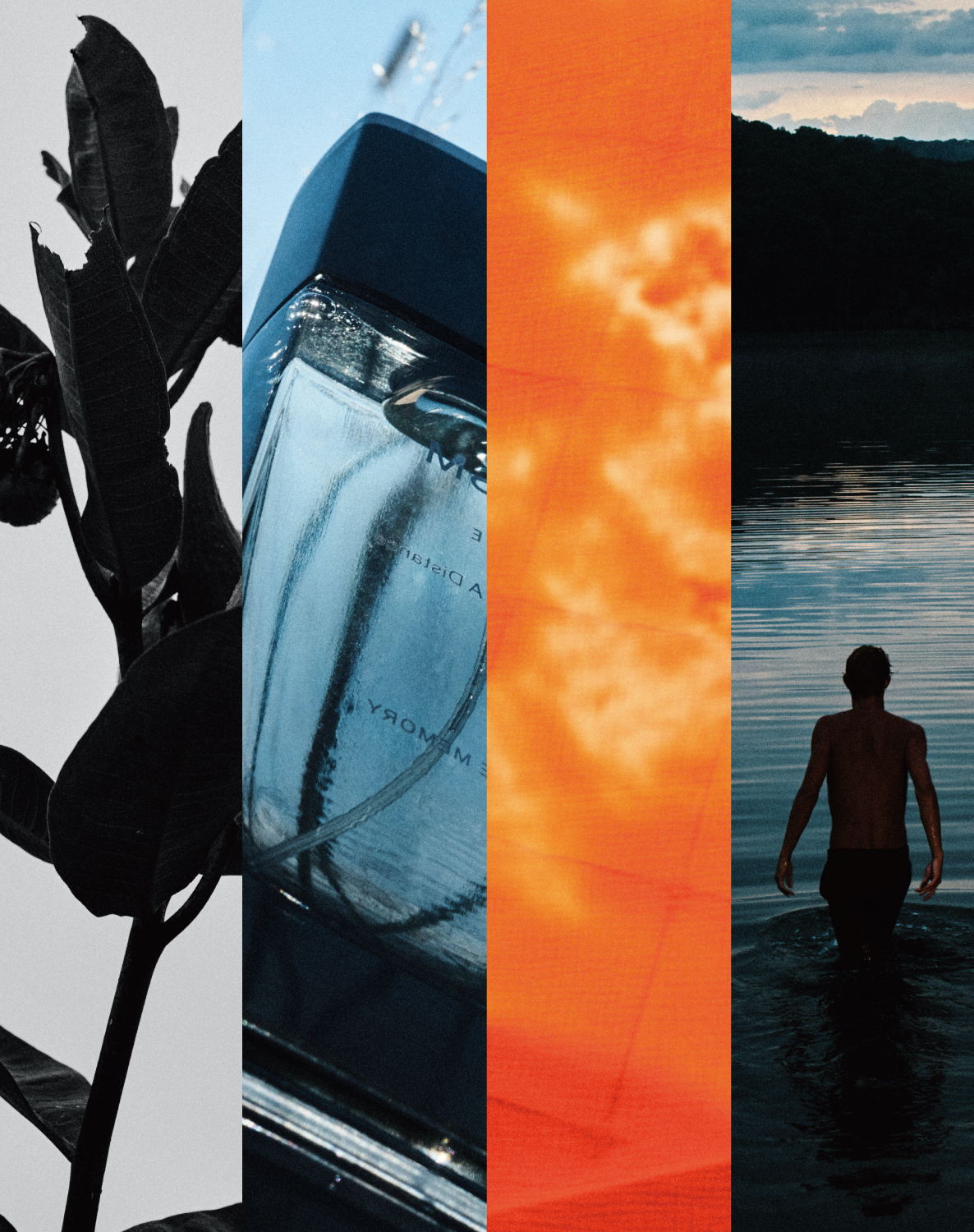 メンズコスメ「ファイブイズム バイ スリー」から初の香水が登場 “香り