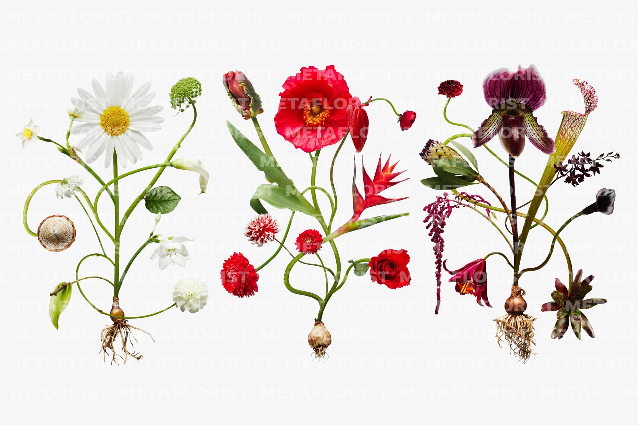 フラワーアーティスト・東信がNFTデジタルブーケを制作 - TOKION