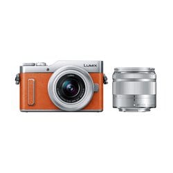 ヨドバシ.com - パナソニック Panasonic DC-GF10WA-D [LUMIX GF10