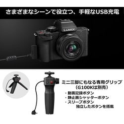 ヨドバシ.com - パナソニック Panasonic DC-G100V-K [LUMIX G100 V