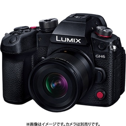 ヨドバシ.com - パナソニック Panasonic H-X09 [LEICA DG SUMMILUX 9mm