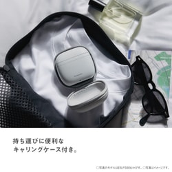 ヨドバシ.com - パナソニック Panasonic メンズシェーバー LAMDASH