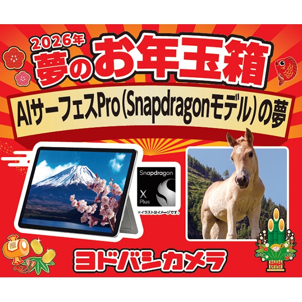 2026】ヨドバシ福袋「夢のお年玉箱」を予想！圧倒的にオトクなのはこの