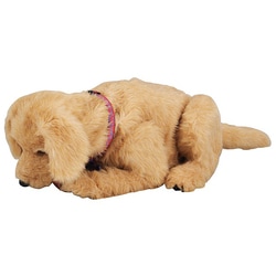 ヨドバシ.com - セガフェイブ 夢いぬDX ゴールデンレトリバー 通販