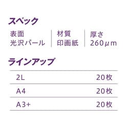 ヨドバシ.com - ピクトリコ PICTORICO GEKKOパール・ラベル A3ノビ 20