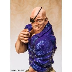 ヨドバシ.com - バンダイ BANDAI フィギュアーツZERO 愚地独歩