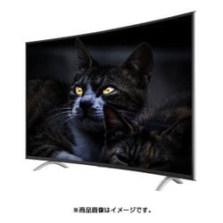 ヨドバシ.com - レボリューション Revolution 48型MHL対応 曲面フル