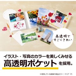 ヨドバシ.com - セキセイ パックン ポストカードホルダー 高透明