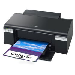 ヨドバシ.com - エプソン EPSON カラリオ・プリンター PX-201 通販