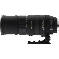 ヨドバシ.com - シグマ SIGMA APO 50-500mm F4-6.3 EX DG [ソニー用