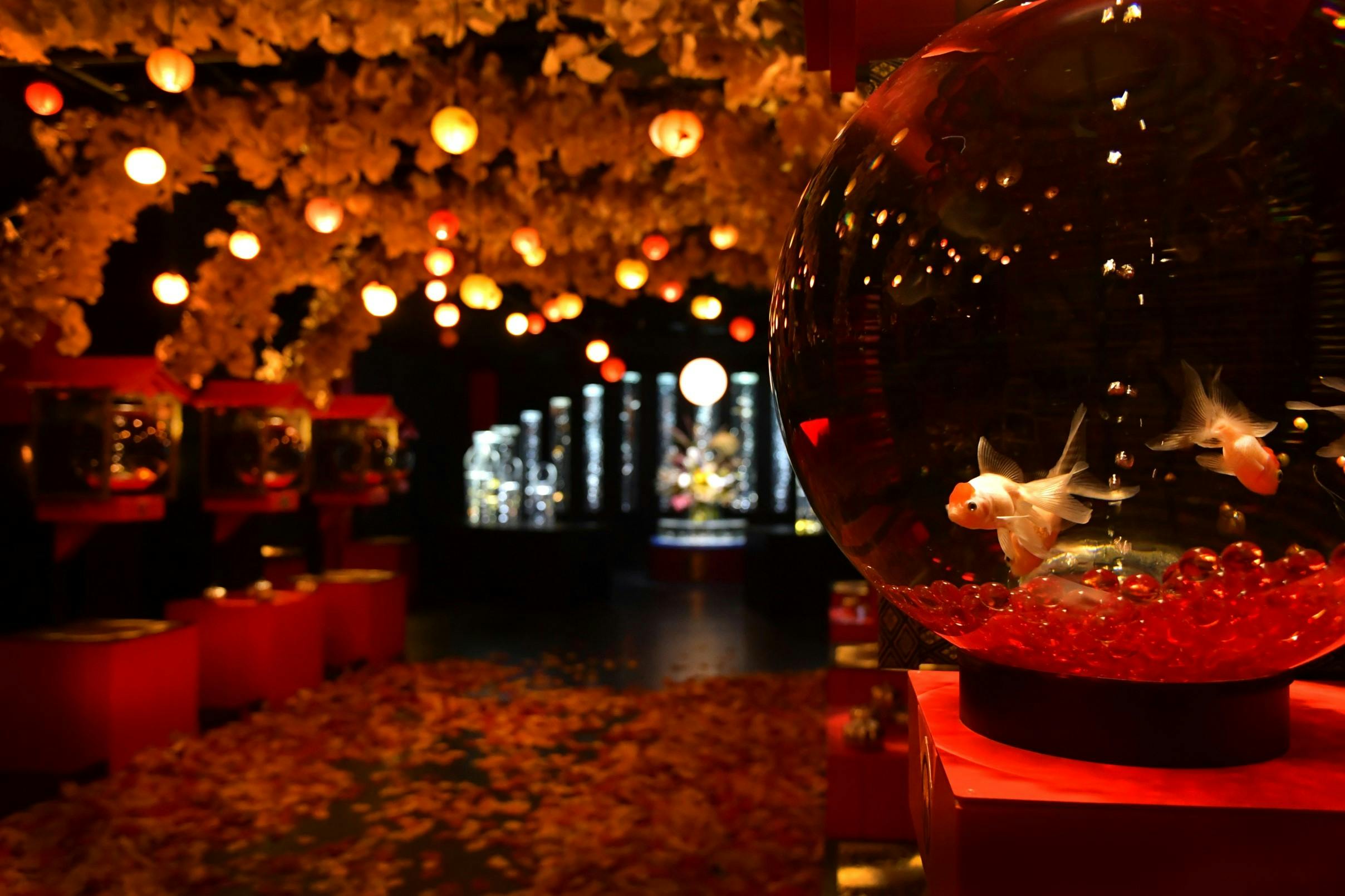 金魚と紅葉の美しいコラボをお見逃しなく！秋色に染まる「アート