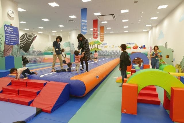 1日中遊び放題！】1DAYパス ボーネルンド あそびのせかい コクーン