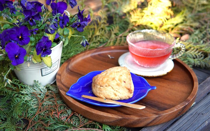 北鎌倉の自然に囲まれた古民家で味わうオリエンタルな薬膳菜食のお昼