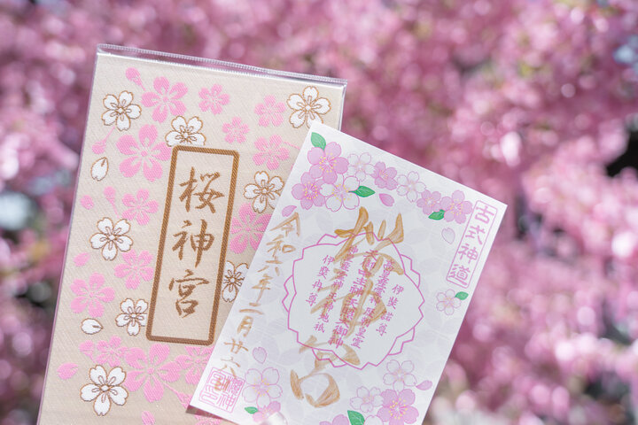 桜神宮の河津桜にうっとり♪サザエさんの街・桜新町でお気に入りの