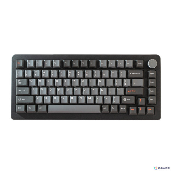 マグネティックスイッチ採用しラピッドトリガー機能を搭載した