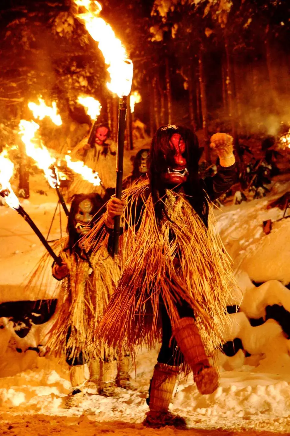 なまはげ柴灯まつり 入場協賛金（秋田県 男鹿市・祭り） - KKday