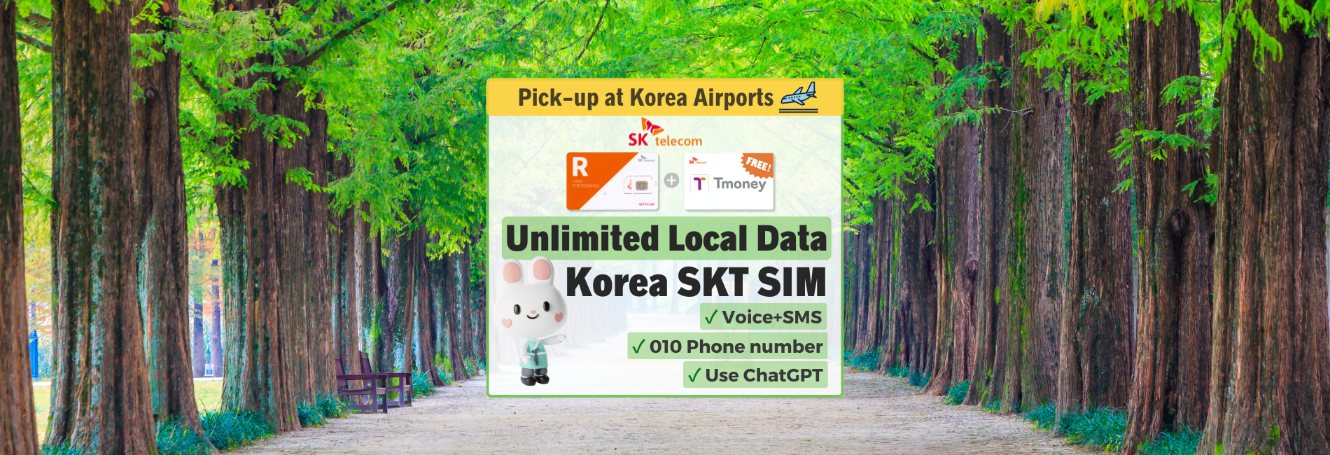 韓国 SKテレコム（SK Telecom）SIMカード 電話番号付 現地空港受取 - KKday