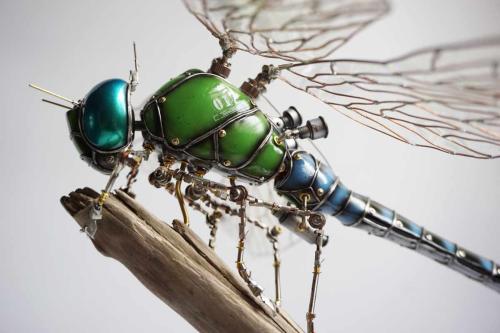 メタリックな質感がたまらない！昆虫から魚まで K SUZUKIさんの機械