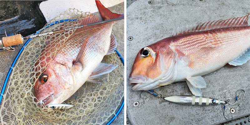 UROCO「ウロコジグ ショート」120g・150g・180g・210g・240g・270g