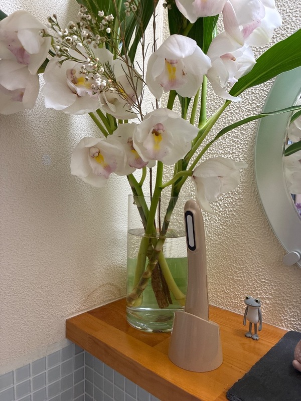 タメせる！株式会社アデランス「VINA・BEAUTE（ヴィーナ・ボーテ