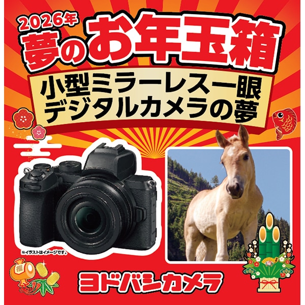 e18ff_1839_605c26e7cecc78c354a