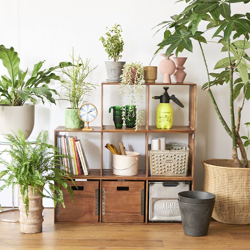 送料無料】 ACME Furniture トロイ オープンシェルフ 幅350×奥行320×高