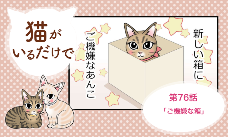 まんが】第76話：【ご機嫌な箱】まんが描き下ろし連載♪ 猫がいるだけ