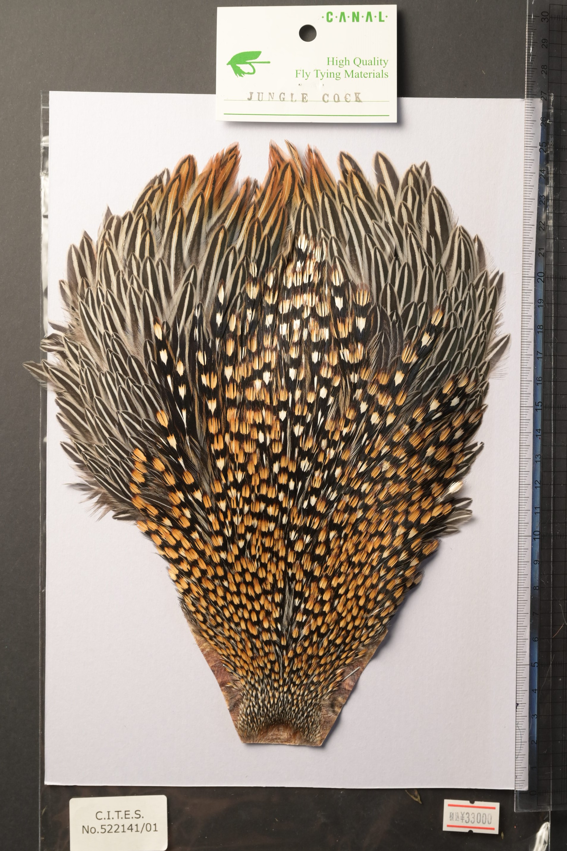 キャナル｜フライマテリアル｜ジャングルコック｜Jungle Cock | K