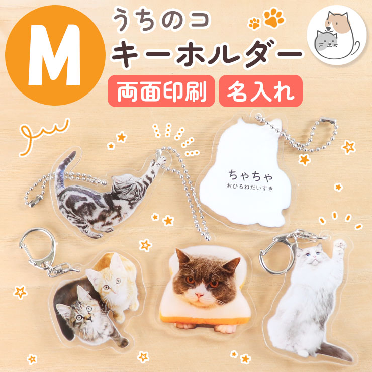 楽天市場】【1つ買うと同じものをプレゼント ～3/11迄 】 写真