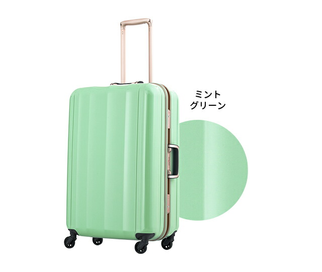 楽天市場】名入れ無料 スーツケース キャリーケース キャリーバッグ