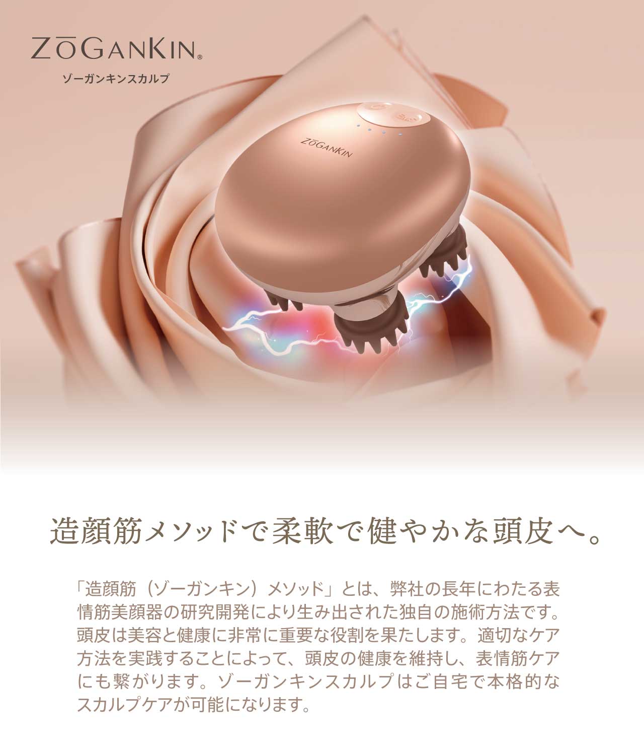 楽天市場】【クルールラボ公式】ZOGANKIN スカルプ CL-ZKS（1年保証