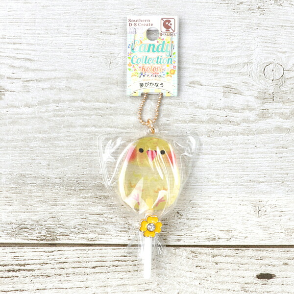 楽天市場】キャンディーコレクション ☆セキセイブルー ◇ゆうパケット