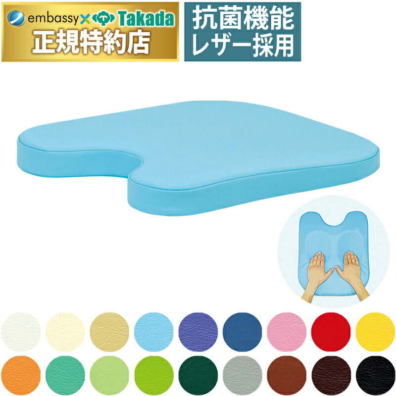 楽天市場】【ポイント6倍】高田ベッド 薄型カラーバスト(エアホール