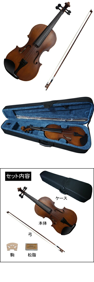 楽天市場】バイオリン5点セット/本体・弓・セミハードケース・駒・松脂