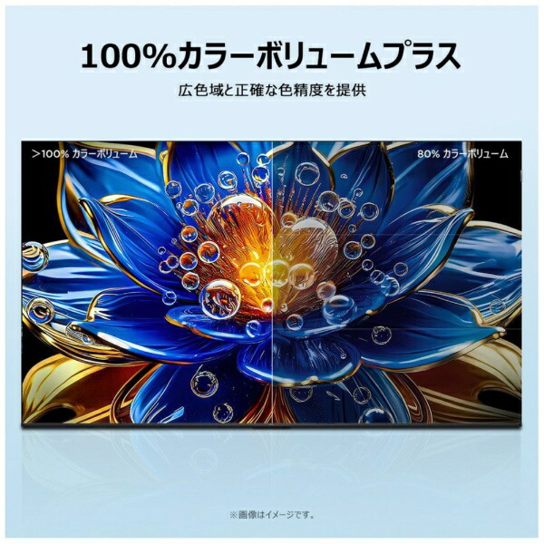 楽天ビック｜【まとめ買いで最大15％OFFクーポン(2/23まで）】 TCL