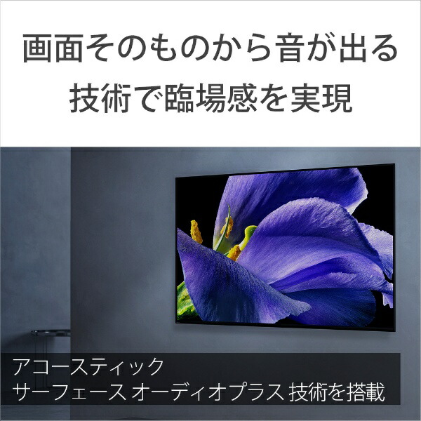 楽天ビック｜ソニー｜SONY 有機ELテレビ BRAVIA(ブラビア) KJ-55A9G